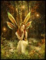 /album/kepgaleria-fenykepgaleria2/tn-14-jpg/
